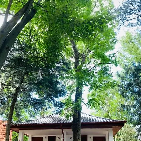 Complex Resort