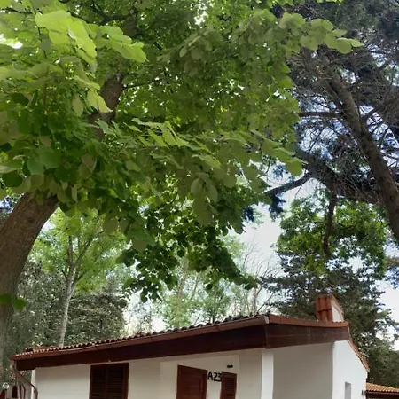 Complex Resort
