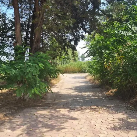 Complex Resort