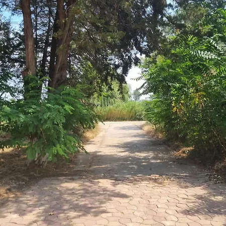 Complex Resort